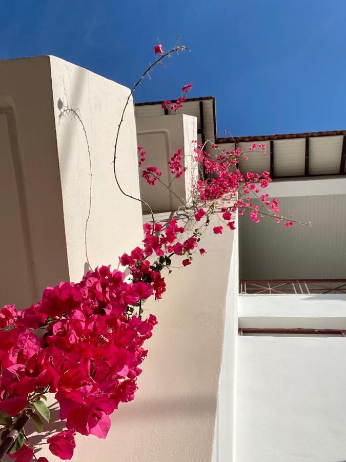 נידרי Gardenia Studios מראה חיצוני תמונה